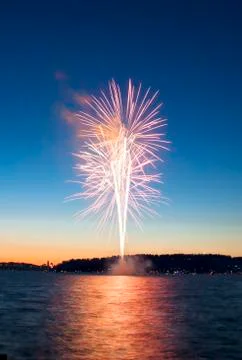 Firework Stock Photos