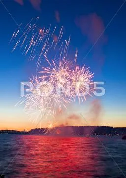 Firework Stock Photos