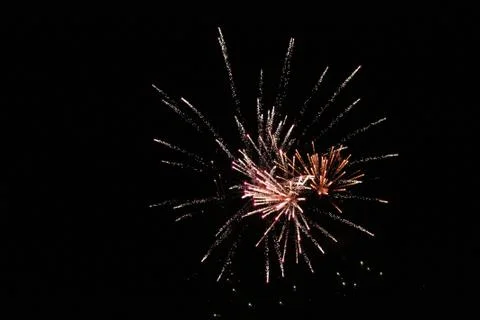 Firework Stock Photos