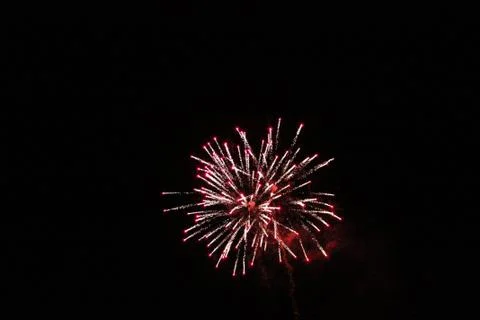 Firework Stock Photos
