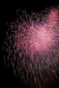 Firework Stock Photos