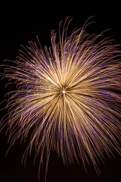 Firework Stock Photos