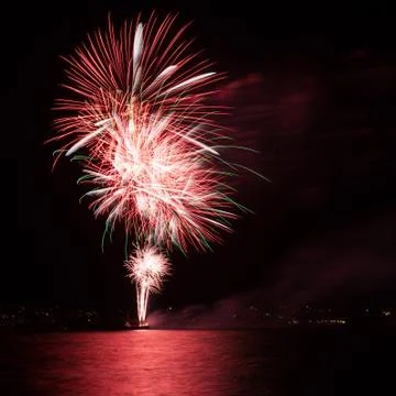 Firework Stock Photos