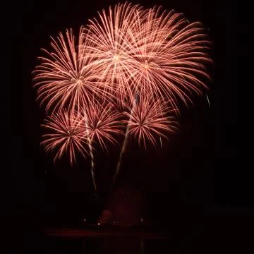 Firework Stock Photos