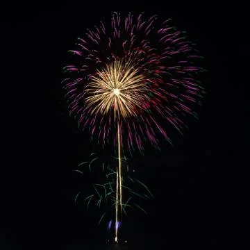 Firework Stock Photos