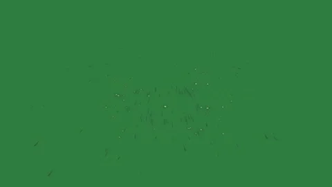 Firework Professional With Fireworks - Chroma Key Green Screen Footage 库存影片 338017934
