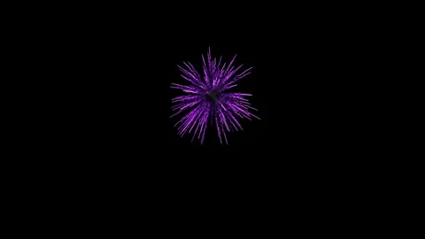 Firework purple Stock Footage 83278609