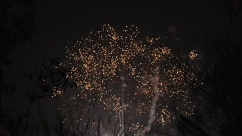 Firework Rocket Launching Into Night Sky Above Silhouetted Trees Video stock 337414564
