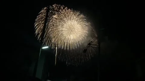 Firework shot at Diwali night Stock-Footage 217678081