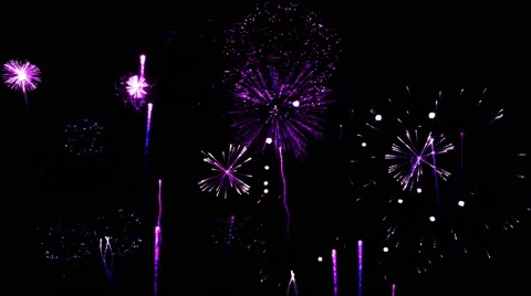 Firework Show Animation - Loop Purple Stock Footage 55263117