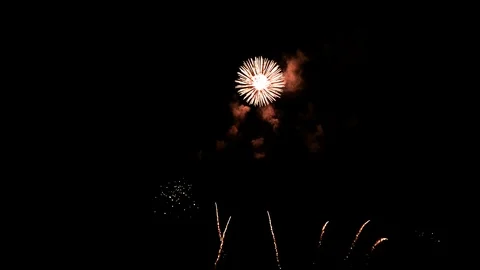 Firework on the sky Stock Footage 106923896