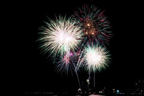 Firework on sky at night. Stock Photos
