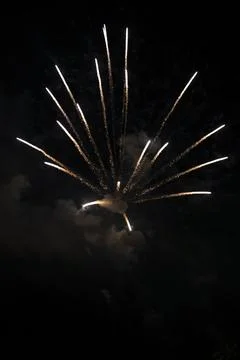 Firework in the sky Stock Photos