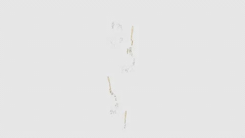 Firework start up. Vidéo 141081206