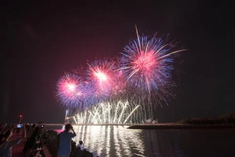 The firework in the summer seaside. Stock Photos