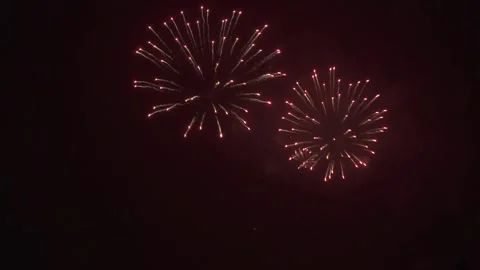 Firework01 Stock Footage 282986580