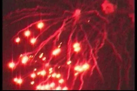 Fireworks-1 7-4-09 Stock-Footage 486451