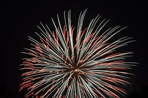 Fireworks 25 Stock Illustration