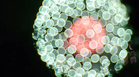 Fireworks 4. Stock Footage 7734052