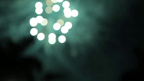 Fireworks 4th of July Bokeh Background South Florida Palm Trees Stock Footage