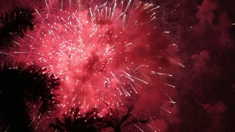 Fireworks 4th of July Flagler Sequence Stock Footage 77517275