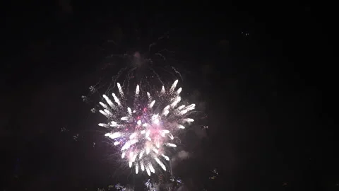 Fireworks - 4th of July (Version 6) 動画素材 157474132