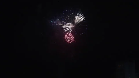 Fireworks against black background exploding in real time Vídeos de archivo 204790792