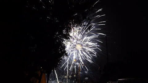 Fireworks Against Trees at Night Stock Footage 210199635