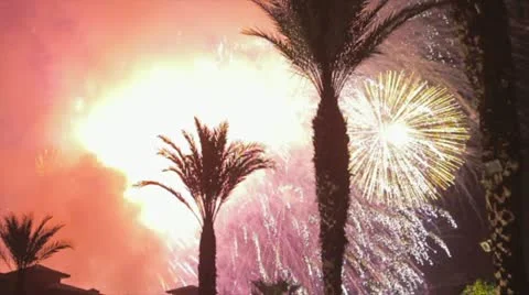 Fireworks and palms Video stock 11114523