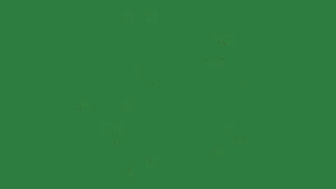 Fireworks Animated - Chroma Key Green Screen Footage Stock Footage 338013414
