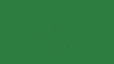 Fireworks Animated Isolated Green Screen Stock Video 库存影片 338013763