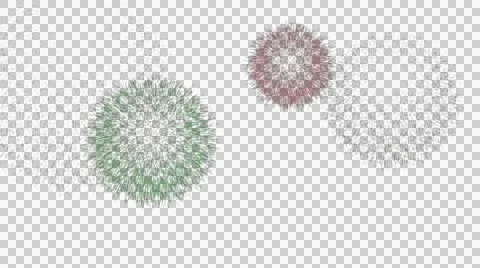 Fireworks Animation, ALPHA layer Stock Footage