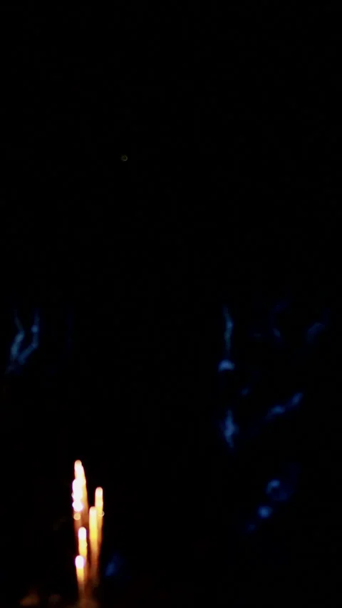 Fireworks are low explosive pyrotechnic devices used for aesthetic Video stock 301370434