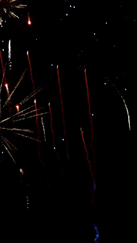 Fireworks are low explosive pyrotechnic devices used for aesthetic Stock Footage 301370439