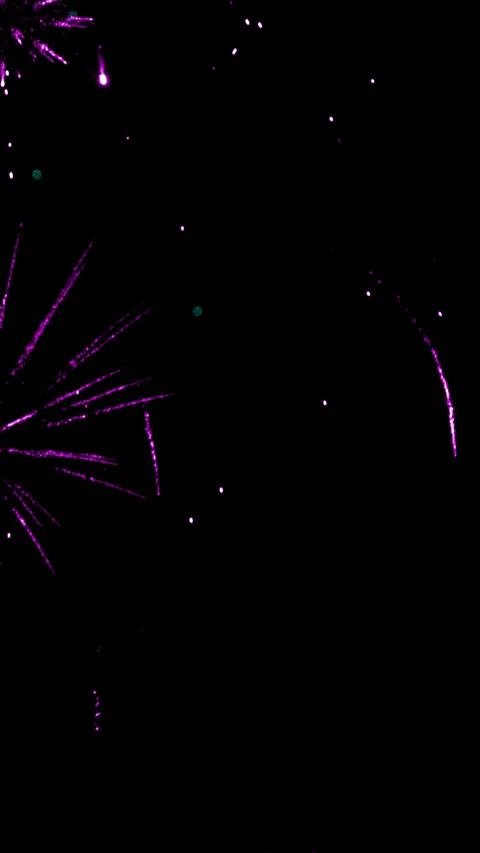 Fireworks are low explosive pyrotechnic devices used for aesthetic Stock Footage 301370535