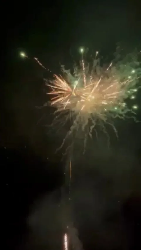 Fireworks Background, New Year Firework Holiday Celebration Party Event Stock Footage 323943532