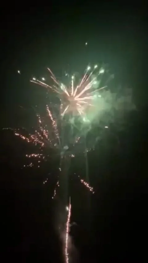 Fireworks Background, New Year Firework Holiday Celebration Party Event Stock Footage 323944030