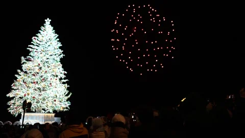 Fireworks behind lit tree Wide shot in Red Brick Warehouse Bay Hakodate Japan 動画素材 325631853