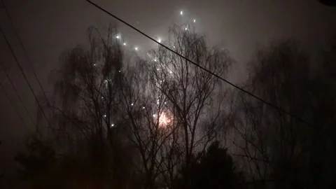 Fireworks behind tree Stock Footage 146028453