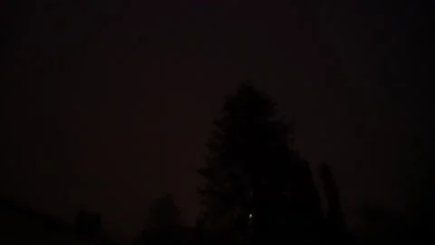 Fireworks behind tree Stock Footage 146028637