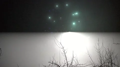 Fireworks behind tree Stock Footage 146028724