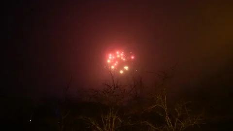 Fireworks behind tree Stock Footage 146028754