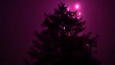 Fireworks behind tree Stock Footage 146028868