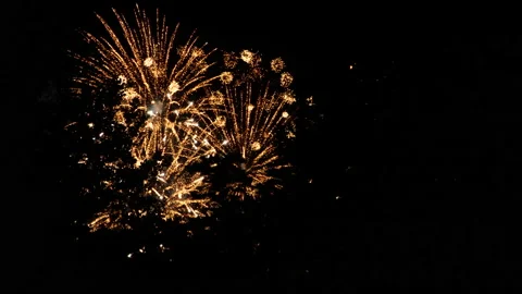 Fireworks behind Tree Stock Footage 195726858