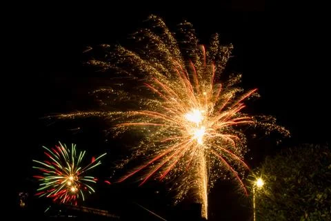 Fireworks behind trees Фото
