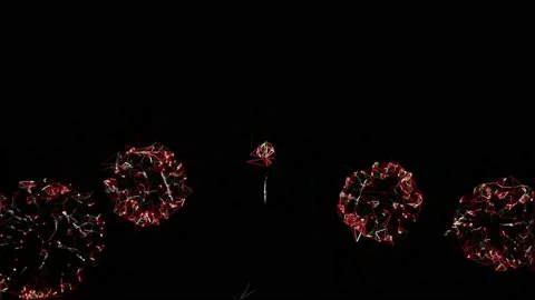 Fireworks on black background. abstract design Stock Footage 141942396