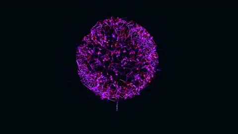Fireworks on black background. abstract design Stock Footage 141958051