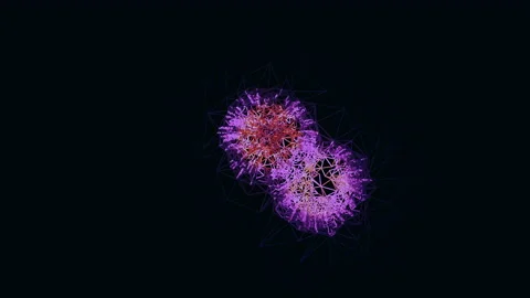 Fireworks on black background. abstract design Stock Footage 141959382