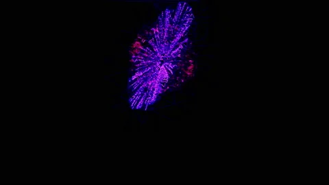 Fireworks on black background. abstract design Stock Footage 141959530