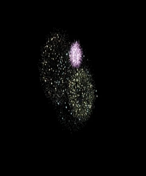 Fireworks black background Stock Footage 101825915